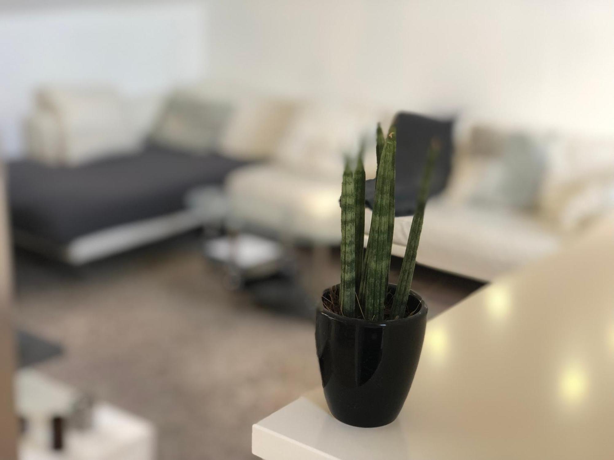Caleva'S Bnb Pforzheim Luaran gambar