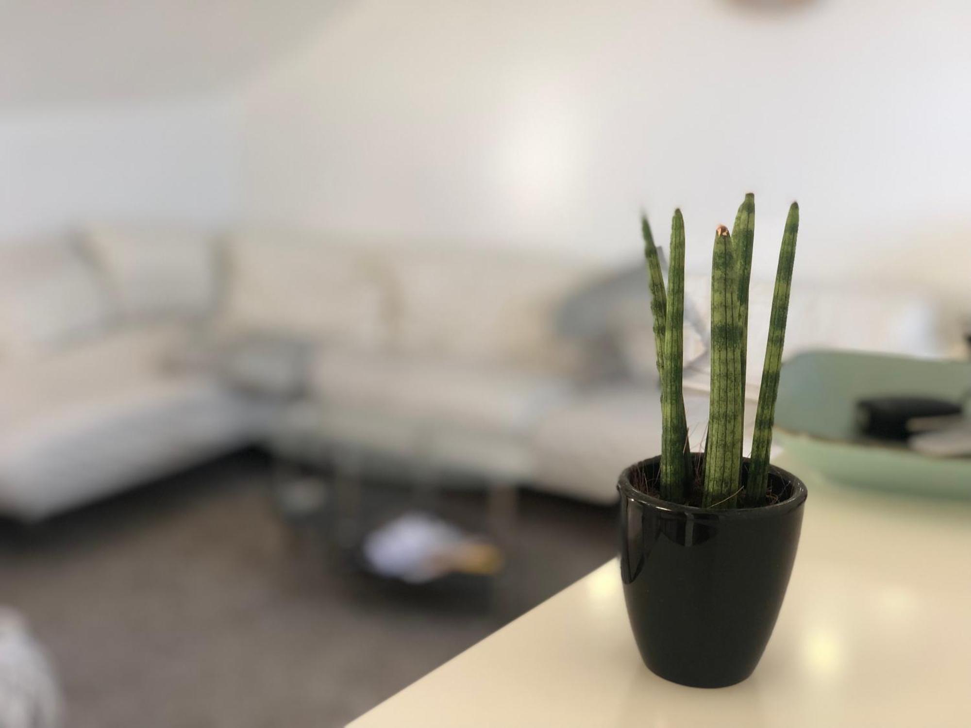 Caleva'S Bnb Pforzheim Luaran gambar