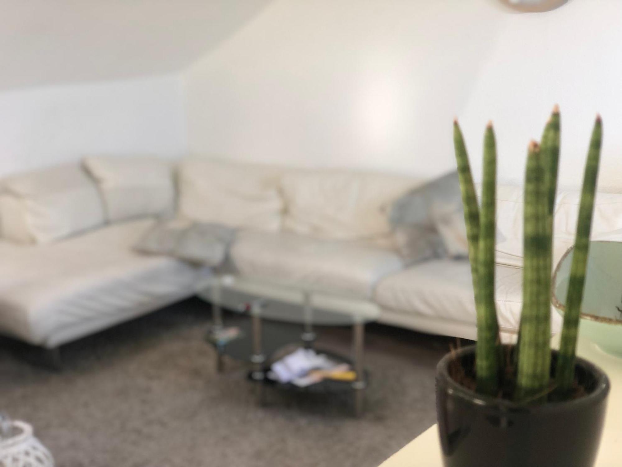 Caleva'S Bnb Pforzheim Luaran gambar